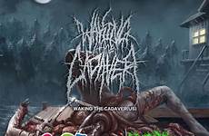 waking cadaver wench rectal dyer cannon