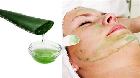 Mimpi ini berhubungan dengan dengan sesuatu yang baik mungkin dalam soal dan mimpi melihat buaya dalam mimpi ini dikatakan ada kaitan dengan perkara yang kurang baik. Cara Membuat Masker Lidah Buaya Sendiri di Rumah