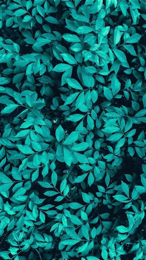 See high quality wallpapers follow the tag #wallpaper aesthetic teal. Pin by ArtsParadis on Teal & Turquoise Aesthetic ...