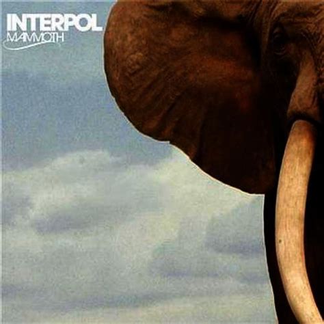 A lot about interpol suggests that it's a statement of purpose, from its eponymous title to the fact that it was released by matador, where the band released its best material. Interpol - Mammoth Lyrics | Genius Lyrics