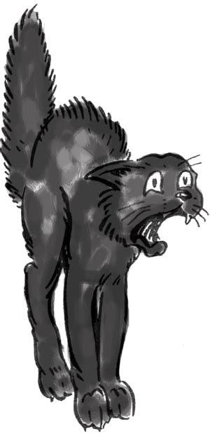 After you finish your cat drawings why not color them in like this! How to Draw a Scary Scared Black Cat with Easy Steps ...