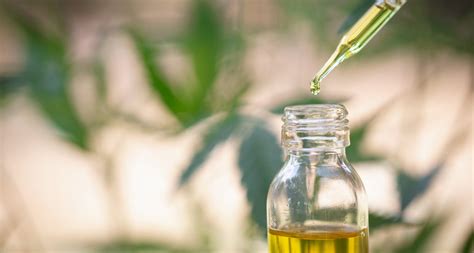 It helps to give your hair the foundation it needs by tackling. How To Use Cbd Oil For Cervical Cancer » CBD Oil New Daily