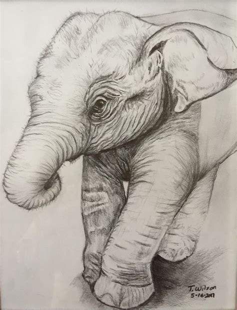 Makes a perfect gift for a. 36 Elephant Pencil Drawing Ideas - Art | Elephant sketch ...