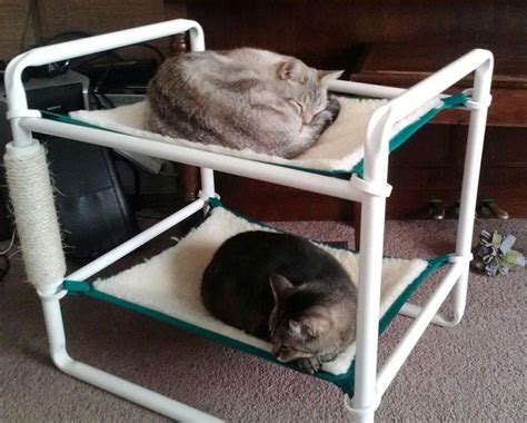 Cat trees help to encourage physical activity, mental stimulation and satisfy your cat's senses and natural instincts. Pvc Projects On Pinterest Cat Towers Cat Hammock And Cat Enclosure ... | Cat hammock, Cat bed ...