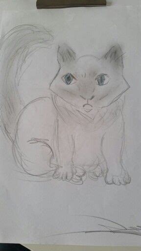 This is a drawing of my fluffy little kitten she s a blue point. Drawing Ragdoll cat