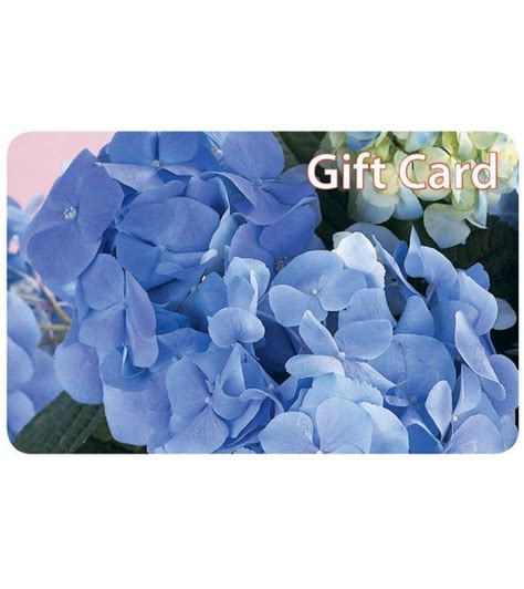 Customer service contact information however, there may be a fee assessed up to $12.95 for an express delivery charge for card replacement. Exceptional Flowers & Gifts- Gift Card | Flower delivery ...