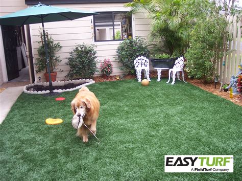 Uses powerful, natural microorganisms to neutralize pet odors ideal for patios, dog runs and yards. Pin by EasyTurf Flordia : Artificial on Pets & Pet Care Facilities | Artificial grass, Synthetic ...