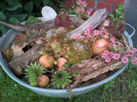 Meine weiteren dienstleistungen finden sie auf meine zahlreichen seiten, viel spaß. Zinkwanne bepflanzt | Miniaturgarten, Zinkwanne bepflanzen ...