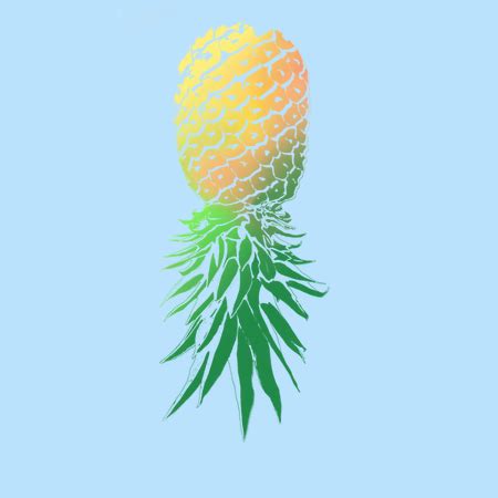We did not find results for: Pinapple Upside Down - NeatoShop
