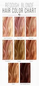  Hair Color Chart Palette Hair Color Chart Shades Of 