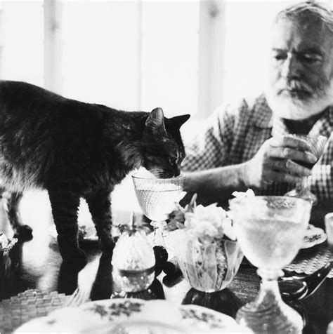 Ernest hemingway's home / key west hd. Ernest Hemingway with one of his 23 cats. | Hemingway cats ...