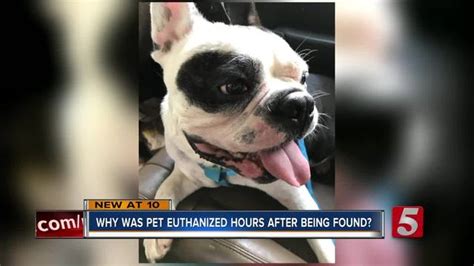 A devoted team believes in doing everything they can for your pet, from a variety details: Why Was Pet Euthanized Hours After Being Found?