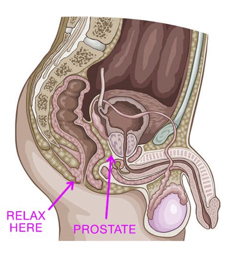 Prostate massage, pegging, prostate cumshot. Ways to orgasm anally