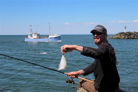 Her er smukt hvidt sand så langt øjet rækker, gode og sikre badeforhold med livreddertårne i sommersæsonen og fine parkeringsforhold. Hvide Sande Außenmole Süd | FISHMAPS - Angelführer Dänemark