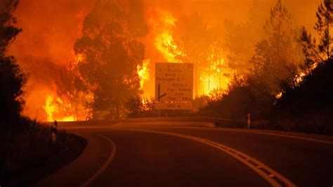 In verschillende portugese dorpen zijn vandaag opnieuw bosbranden opgeflakkerd. Dit is wat we weten over de grote bosbranden in Portugal | NU - Het laatste nieuws het eerst op ...