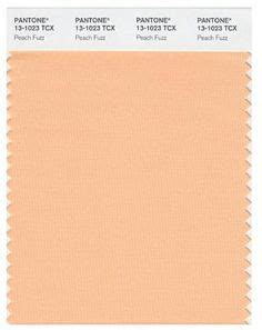 *peachy keen wax+skin reserves the right to charge 50% of your scheduled service for all missed appointments (no show) and appointments which, absent a compelling reason, are not cancelled. Pantone Apricot Nectar | Apricot | Pinterest | Pantone