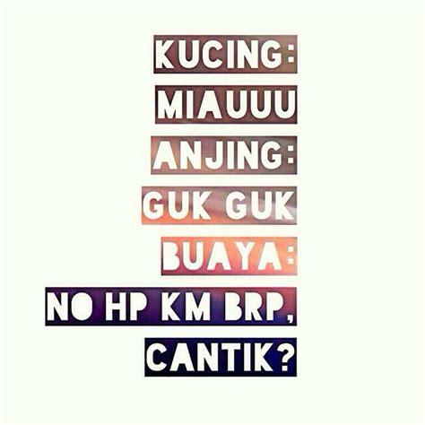 Gambar buaya muara telur buaya biasanya membutuhkan waktu sekitar 80 hari untuk menetas. 193 Best images about Bahasa Indonesia on Pinterest ...