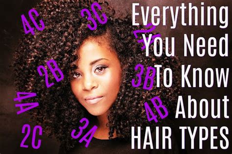 Show newer home design programs. Everything You Need To Know About Hair Types | Hair type ...