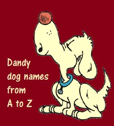 A name identifies your child in a unique way and will be a part of your child for the rest of his or her life. Fad to the Bone: Dandy dog names beginning with B