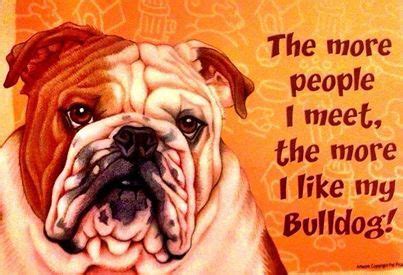 Best 12 quotes in «bulldogs quotes» category. 194 best images about Bulldog Quotes on Pinterest