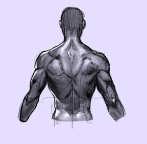 Low back pain is a fact of life. How to Draw the Human Back, a Step-by-Step Construction ...