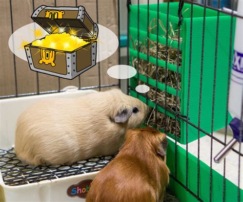 Maybe you would like to learn more about one of these? Diy Hay Rack Quails : Bend a piece of c&c grid (cube ...