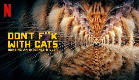 This disturbing movie portrays immense sadness that will leave its footprints on your mind for a long period of time. Don't Fuck With Cats on Netflix Review: Disturbing Yet ...