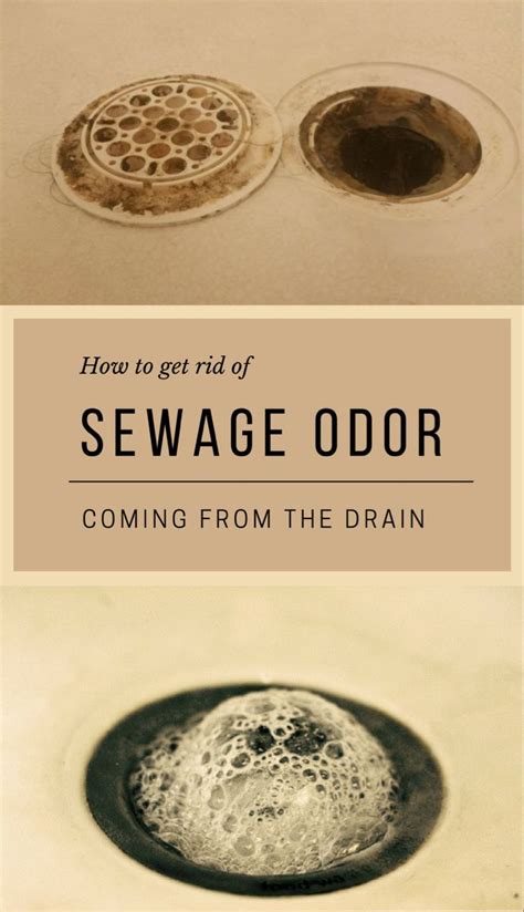 Obviously it shouldn't smell so there's a fault. How To Get Rid Of Sewage Odor Coming From The Drain ...