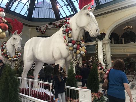 Includes roundtrip flight with jsx, complimentary view room upgrade and a $25 daily food and beverage credit. Bellagio Conservatory in Las Vegas debuts 2020 holiday display