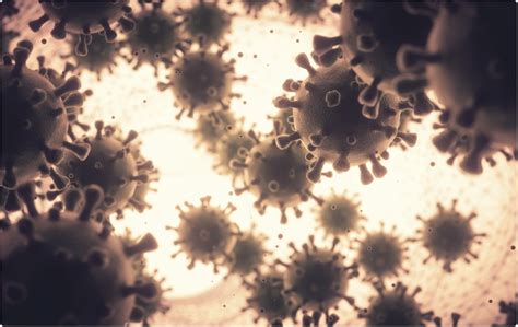 Who said variant has multiple mutations in the spike protein that could have an impact on its transmissibility but more studies are needed to fully understand the mutations. SARS-CoV-2 Lambda variant spreading rapidly in South ...