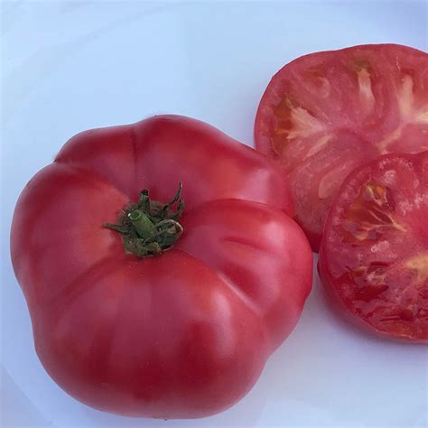 Purple/black beefsteak tomatoes one of my best black tomatoes. Rosella Crimson - Dwarf Organic Tomato Seeds | TomatoFest