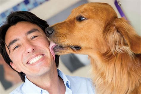 Domain.me, all rights reserved policies contact. Why Dogs Lick People
