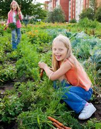 Maybe you would like to learn more about one of these? Where Should I Put My Worm Bin? - Uncle Jim's Worm Farm