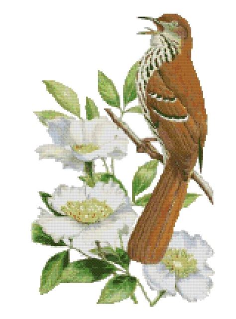 The garden helper is a free gardening encyclopedia and guides to growing and caring for gardens, plants and flowers. Georgia State Bird and Flower Brown Thrasher and Cherokee ...
