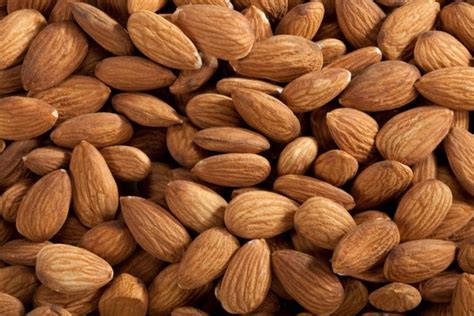 Best almond milk brand in india. 5 Best Almonds Brand in India - 2020 Buying Guide - Jaxtr