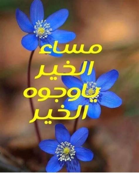 In islam having good physical health is a core belief. Pin by Foooz on مساءات | Good morning arabic, Good evening ...