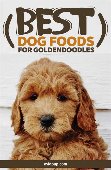 Top 4 best dog foods for goldendoodle puppies. Top-7-Best-Dog-Foods-for-Goldendoodles,-(Puppies-&-Adults ...