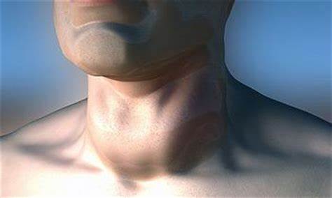 Зоб диета лечение Зоб — Лечение и профилактика заболеваний методами традиционной и Зоб — Лечение и профилактика заболеваний методами традиционной и Зоб диета лечение