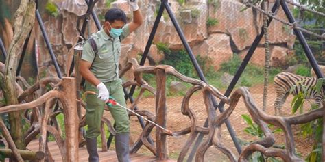 Ustadz dr syafiq riza basalamah : Apakah Taman Buaya Buka / Ragunan Kembali Buka Simak ...