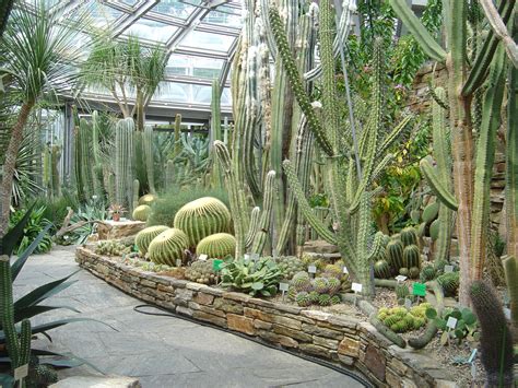 Check spelling or type a new query. Botanischer Garten Und Botanisches Museum Berlin-Dahlem