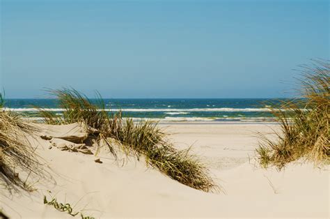 Ferienhaus 30519 in dyngby strand, odder, dänemark online vergleichen & direkt ferienhaus in engagervej 60, odder buchen! Strandferie i Danmark - Overnatning på Danhostels tæt på ...