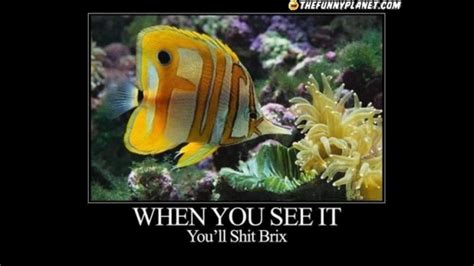On top of that, a lot of girls simply don't even know this about themselves so it's not like they are keeping it as a secret from you, and they are not squirting. When you see it you´ll sh*t bricks!!! (Part 2) - YouTube