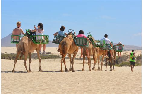 Tibco xa transaction tutorial step 4: Organize a Group Trip with WeTravel in 4 Easy Steps