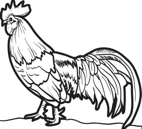 7 logo bergambar ayam jago kumparan com. Mewarnai Gambar Ayam Jago