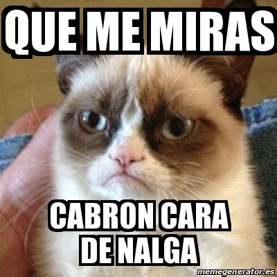 Cabrita666 streams live on twitch! Meme Grumpy Cat - que me miras cabron cara de nalga - 13742246