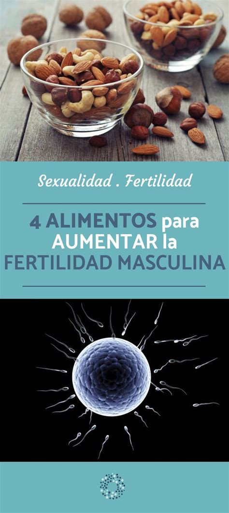 Alimentos para la fertilidad femenina. Alimentos para mejorar la fertilidad masculina | Alimentos para la fertilidad, Fertilidad y ...