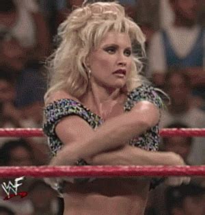 Tits, pussy, ass, missionary, cowgirl, doggy style, blowjob, cumshots. Old School Wrestling (18 gifs)