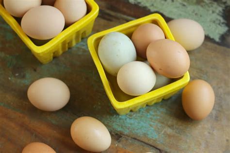 Big eggs, little eggs, brown eggs, blue eggs… that was my best attempt at a dr. Desserts That Use Up A Lot Of Eggs : How To Use Up Eggs 50 ...