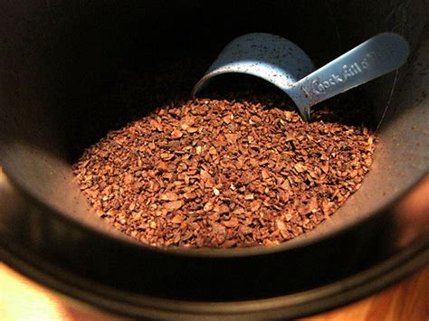 8 Homemade Pest Control Remedies That Really Work | HuffPost
