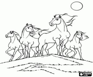 Download and print these wild horse coloring pages for free. Horses coloring pages printable games #2